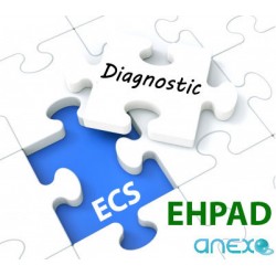 DIAGNOSTIC ECS "EHPAD" In Situ